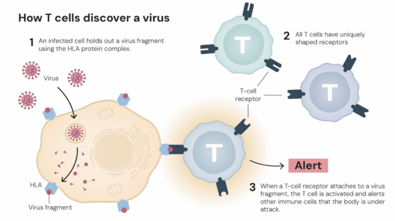 20251010_010129_728.png l_CB20251006212130867065.png