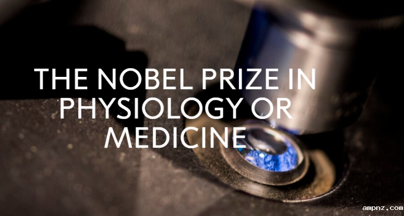 20251010_010743_524.png l_cb20251005234341576065.png