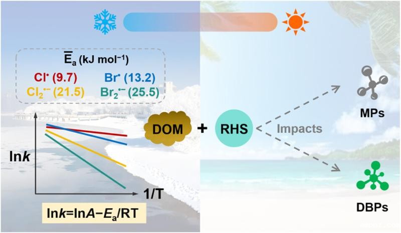 20251027_100855_364.jpeg 2. TOC art.jpeg