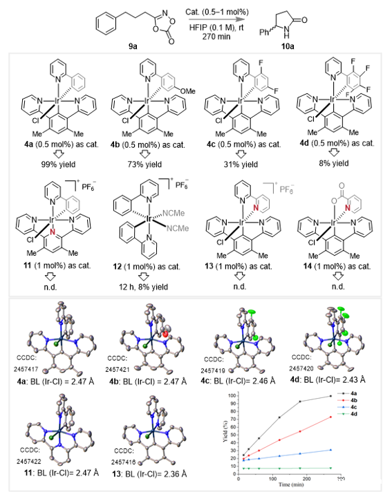 20251024_163630_390.png 图片4.png