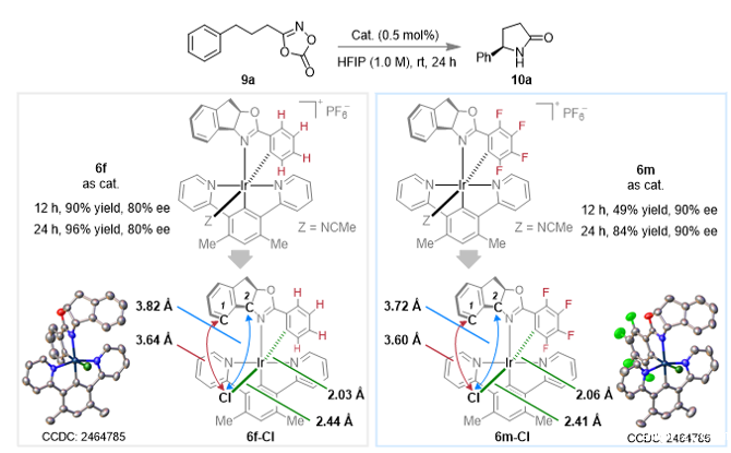 20251024_163645_441.png 图片5.png