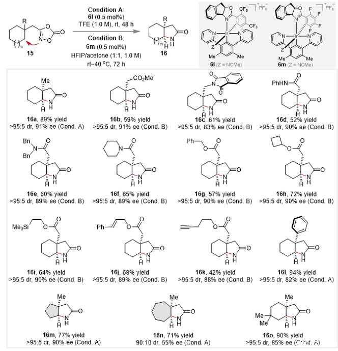 20251024_163724_944.png 图片7.png