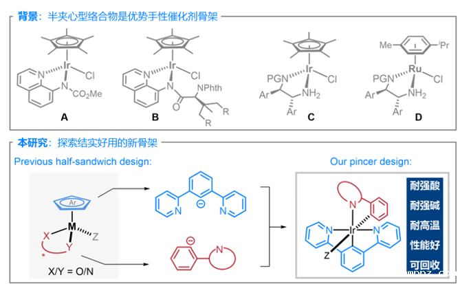 上海交大马佳佳团队实现一类新型手性Ir(III) Pincer催化剂的开发与应用