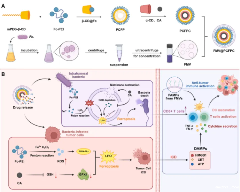 20251029_161840_106.png 02.png