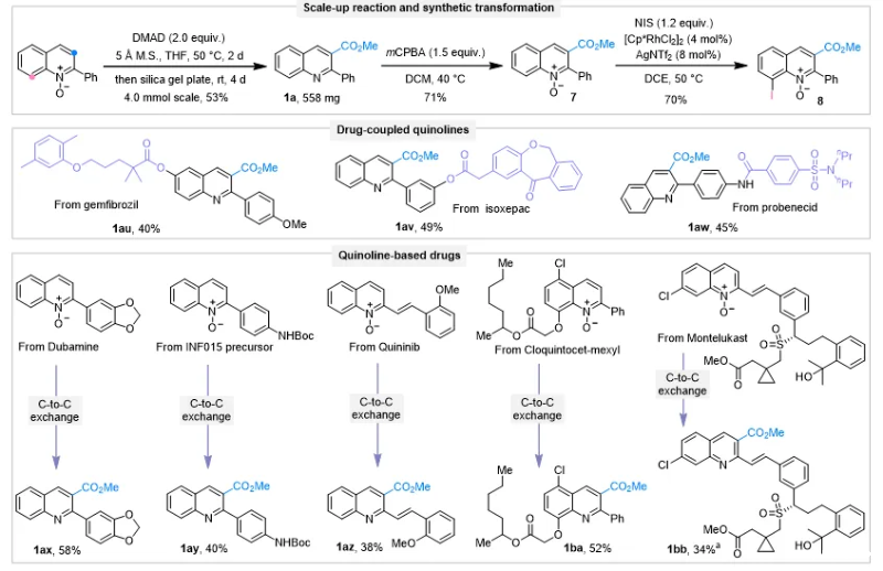 20251029_162454_663.png 04.png