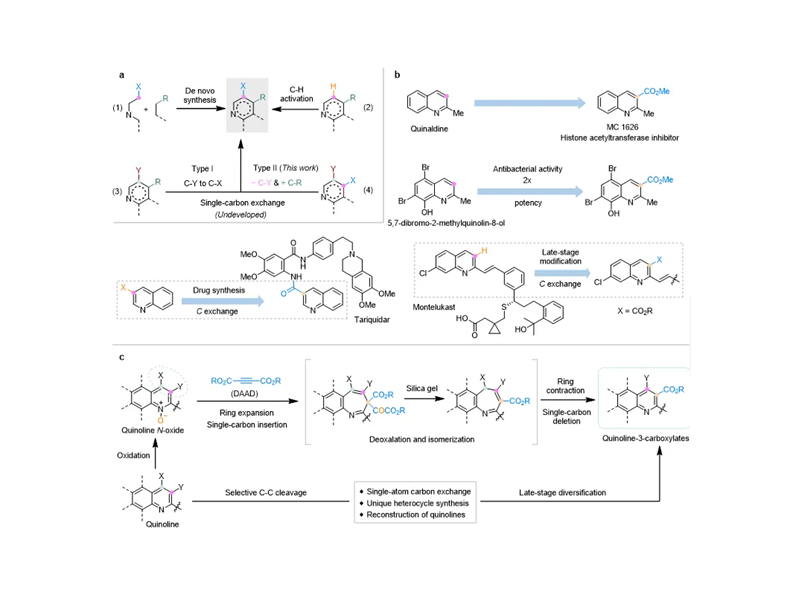 上海交大吴华课题组JACS发文：喹啉骨架上的碳原子置换