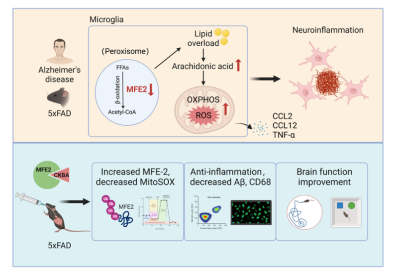 20251030_102222_351.png 图片2.png