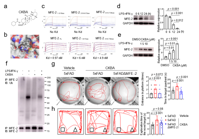 20251030_102249_762.png 图片5.png