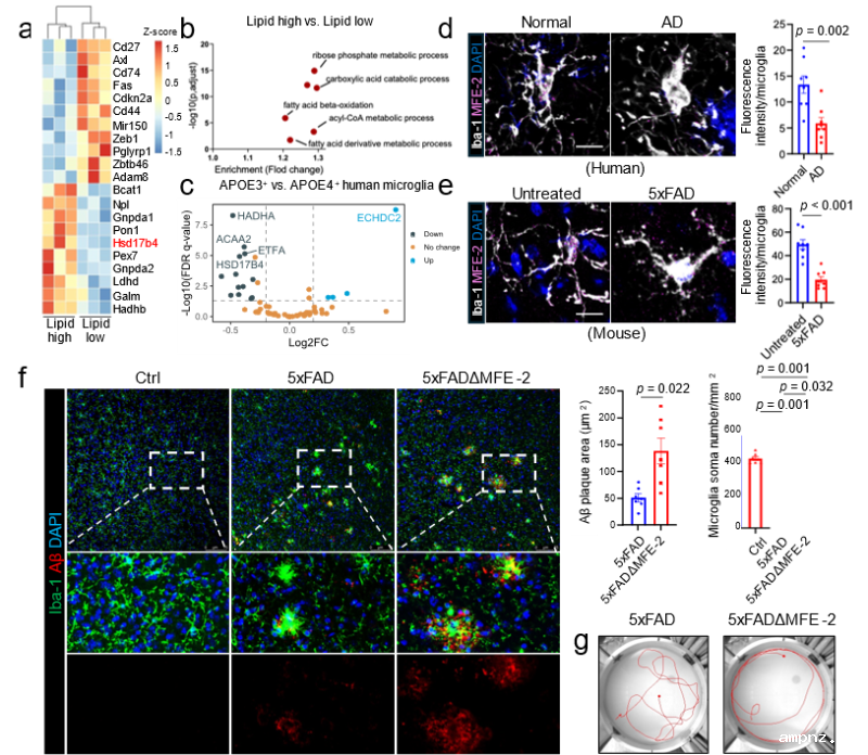 20251030_102312_365.png 图片6.png