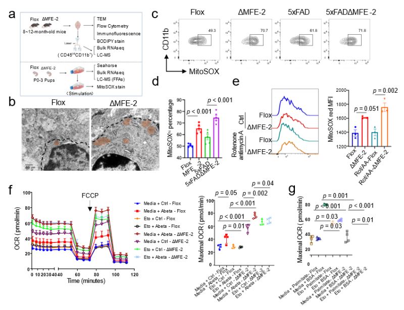 20251030_102340_433.png 图片7.png